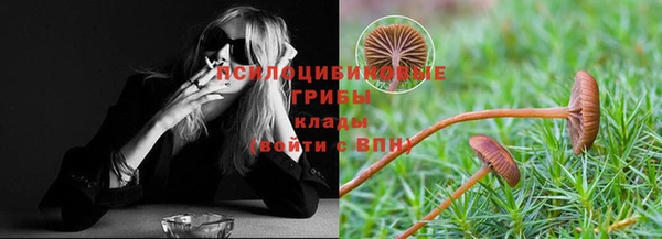 гидра Балабаново