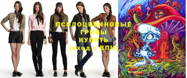 прущие крисы Балахна