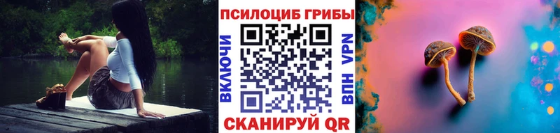 где купить наркотик Верея Галлюциногенные грибы Magic Shrooms