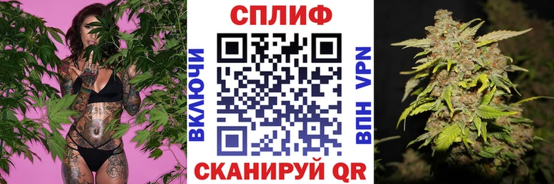 закладки  Верея  Каннабис тримм 